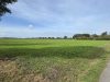 Verkauf: 0.78.63 ha Ackerland und 1.01.88 ha Grünland in der Gemarkung Sudweyhe - IMG_4673
