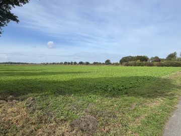 Verkauf: 0.78.63 ha Ackerland und 1.01.88 ha Grünland in der Gemarkung Sudweyhe, 28844 Weyhe / Sudweyhe, Ackerbau