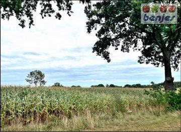 Verkauf: 1.27.67 ha Ackerland in zwei Flächen in der Gemarkung Kirchweyhe, 28844 Weyhe / Hahnenfelde, Ackerbau