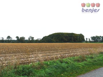 Verkauf: 3.16.56 ha Ackerland in der Gemarkung Bramstedt, 27211 Bassum / Groß Bramstedt, Ackerbau