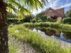 Exklusives Wohnhaus mit Büro und traumhaftem Schwimmteich! - Schilfgürtel als Regenerationszone