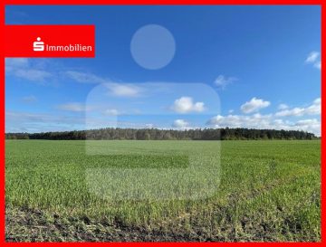 Investition in die Zukunft – Landwirtschaftliche Fläche Nähe Barver, 49453 Barver, Land-/Forstwirtschaft