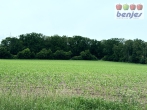 Verkauf: 5.38.53 ha Ackerland inkl. 432 m² Weg in der Gemarkung Hesterberg - Landverkauf in Hesterberg