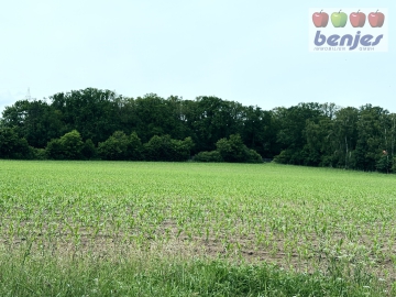 Verkauf: 5.38.53 ha Ackerland inkl. 432 m² Weg in der Gemarkung Hesterberg, 31621 Pennigsehl, Bauprojekt