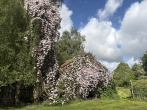 Ihr Rückzugsort mitten in der Natur: Idyllischer Resthof in absoluter Alleinlage - Remise mit toller Clematis