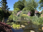 Schönes Einfamilienhaus mit großem Garten in zentraler Lage - Gartenteich