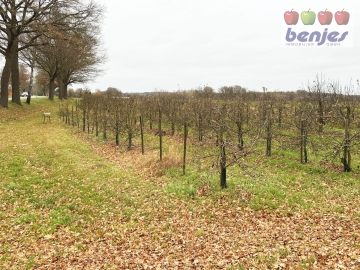Verkauf: 2,8 ha Acker- und Grünland in der Gemarkung Stühren (3 Flächen), 27211 Bassum / Stühren, Bauprojekt