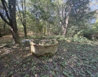 Historisches Anwesen mit 5 ha Natur für Visionäre - Brunnen
