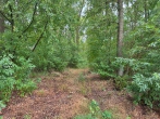 Verkauf: 5.24.95 ha Laubwald in der Gemarkung Haßbergen - Weg