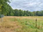 Verkauf: 5.24.95 ha Laubwald in der Gemarkung Haßbergen - Aufgeforstete Fläche