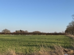 Verpachtung: 10 ha Ackerland und 15 ha Grünland in den Gemarkungen Riede und Dibbersen-Donnerstedt - Fläche 5