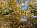 Träume erfüllen in der Wesermarsch – Leben am Wasser! - Gewässer am hinteren Grundstücksende