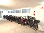 Bürgerpark-Nähe: Helle 3‑Zimmer-Wohnung mit Garten - Fahrradkeller