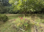 Wohnen, wo der Wald beginnt - Behagliches Wohnhaus in naturnaher Lage! - Lauschige Ecken