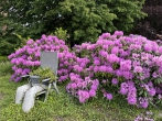Wohnen im Grünen - Großzügiges Zuhause mit viel Platz für die Familie, Garten und Ideen! - Garten und Ideen