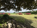 Wohnen im Grünen - Großzügiges Zuhause mit viel Platz für die Familie, Garten und Ideen! - Ruhe, Platz und Natur