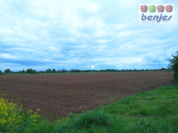 Verkauf: 5.80.08 ha Ackerland in der Gemarkung Dörverden, 27313 Dörverden, Bauprojekt