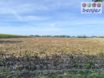 Verkauf: Ca. 2.78.74 ha Ackerland in der Gemarkung Wachendorf - Landverkauf in Wachendorf