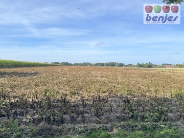 Verkauf: Ca. 2.78.74 ha Ackerland in der Gemarkung Wachendorf, 28857 Syke / Kolonie Wachendorf, Bauprojekt